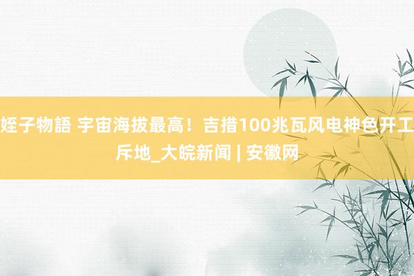 姪子物語 宇宙海拔最高！吉措100兆瓦风电神色开工斥地_大皖新闻 | 安徽网