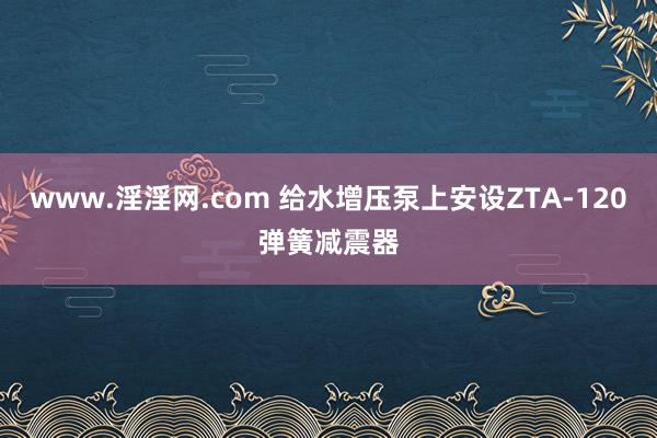 www.淫淫网.com 给水增压泵上安设ZTA-120弹簧减震器