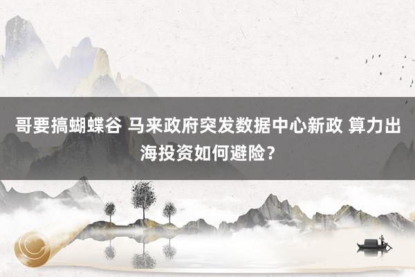 哥要搞蝴蝶谷 马来政府突发数据中心新政 算力出海投资如何避险？