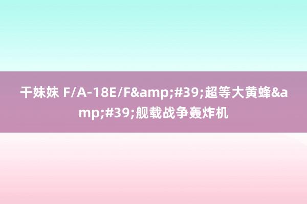 干妹妹 F/A-18E/F&#39;超等大黄蜂&#39;舰载战争轰炸机