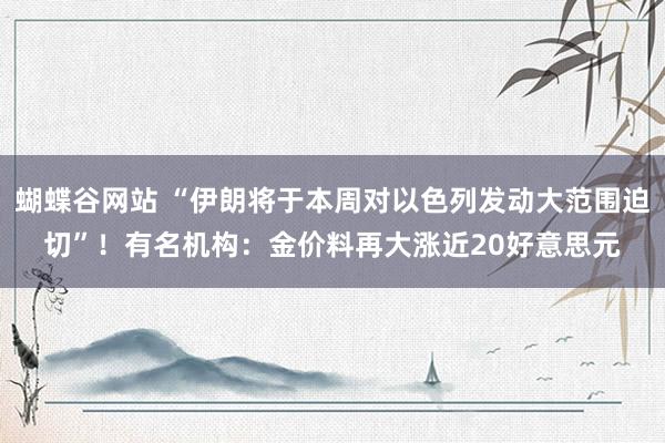 蝴蝶谷网站 “伊朗将于本周对以色列发动大范围迫切”！有名机构：金价料再大涨近20好意思元