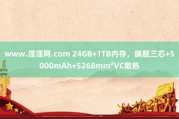 www.淫淫网.com 24GB+1TB内存，旗舰三芯+5000mAh+5268mm²VC散热