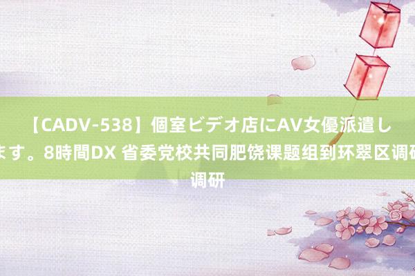 【CADV-538】個室ビデオ店にAV女優派遣します。8時間DX 省委党校共同肥饶课题组到环翠区调研