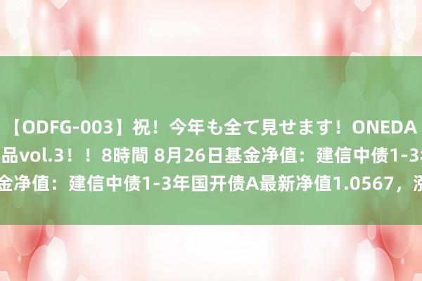 【ODFG-003】祝！今年も全て見せます！ONEDAFULL1年の軌跡全60作品vol.3！！8時間 8月26日基金净值：建信中债1-3年国开债A最新净值1.0567，涨0.01%