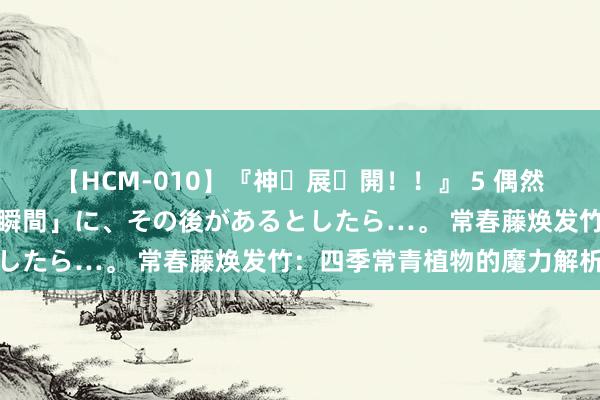 【HCM-010】『神・展・開！！』 5 偶然見かけた「目が奪われる瞬間」に、その後があるとしたら…。 常春藤焕发竹：四季常青植物的魔力解析