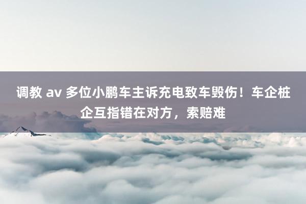 调教 av 多位小鹏车主诉充电致车毁伤！车企桩企互指错在对方，索赔难