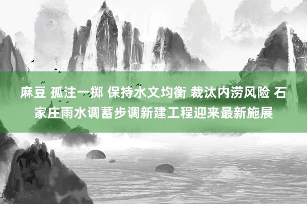 麻豆 孤注一掷 保持水文均衡 裁汰内涝风险 石家庄雨水调蓄步调新建工程迎来最新施展