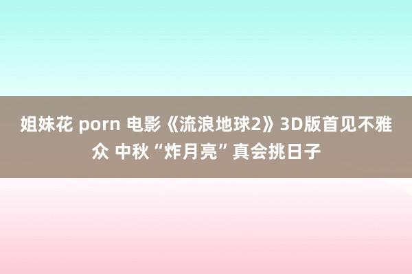 姐妹花 porn 电影《流浪地球2》3D版首见不雅众 中秋“炸月亮”真会挑日子