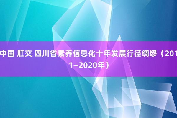 中国 肛交 四川省素养信息化十年发展行径绸缪（2011—2020年）