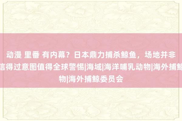 动漫 里番 有内幕？日本鼎力捕杀鲸鱼，场地并非吃肉，信得过意图值得全球警惕|海域|海洋哺乳动物|海外捕鲸委员会